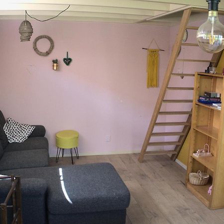 Small, Cute And Cozy Little Holiday Home Hippolytushoef Exteriör bild
